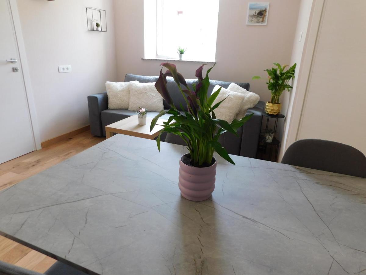 Hisa Limoni Appartement Koper Buitenkant foto